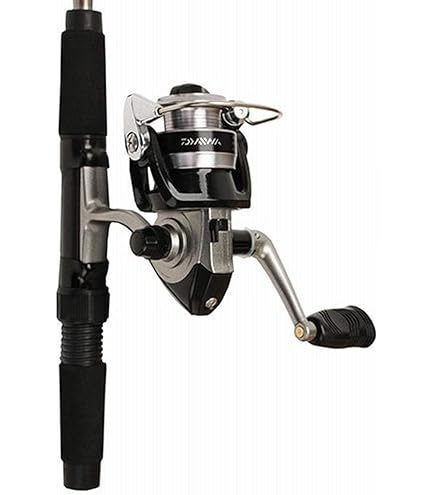 Amazon.com : Daiwa REVLT20-4BI/G665UL Fishing Rod/Reel Combo